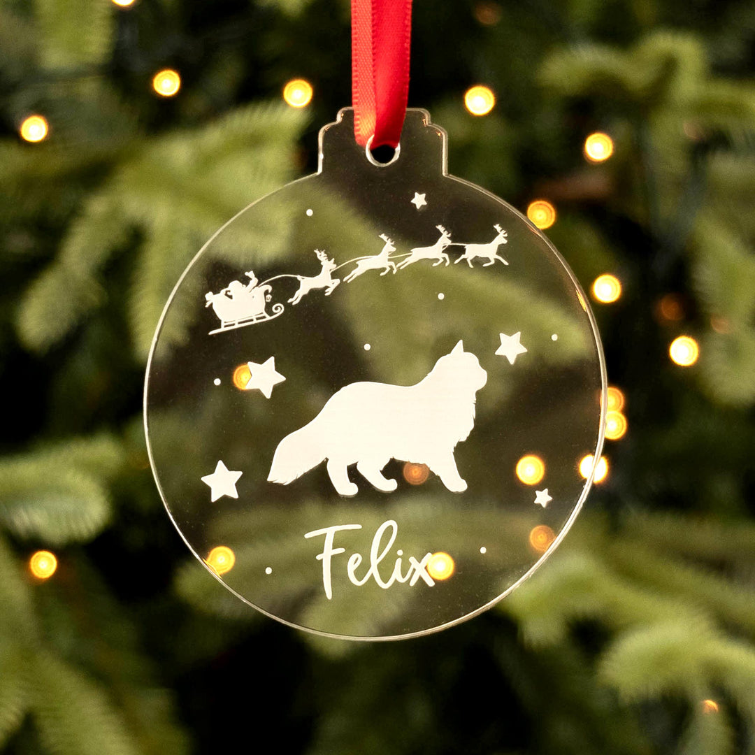 Personalised Clear Cat Christmas Decoration